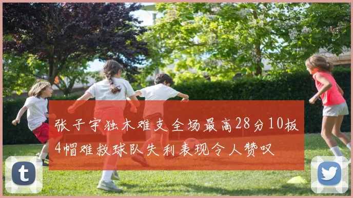 张子宇独木难支全场最高28分10板4帽难救球队失利表现令人赞叹