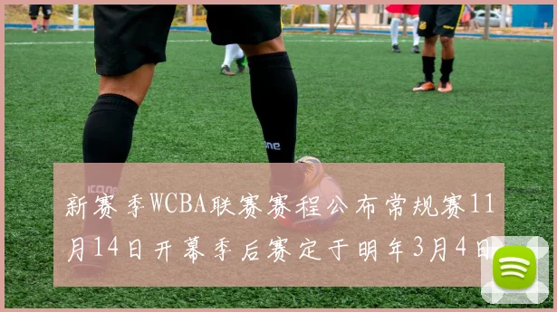 新赛季WCBA联赛赛程公布常规赛11月14日开幕季后赛定于明年3月4日启动