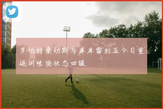 罗伯特桑切斯与库库雷利亚今日重返训练场状态回暖