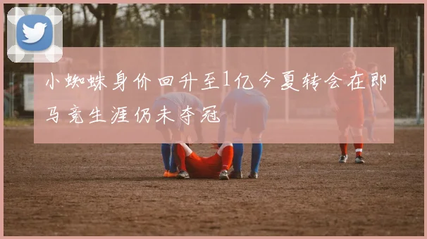 小蜘蛛身价回升至1亿今夏转会在即马竞生涯仍未夺冠